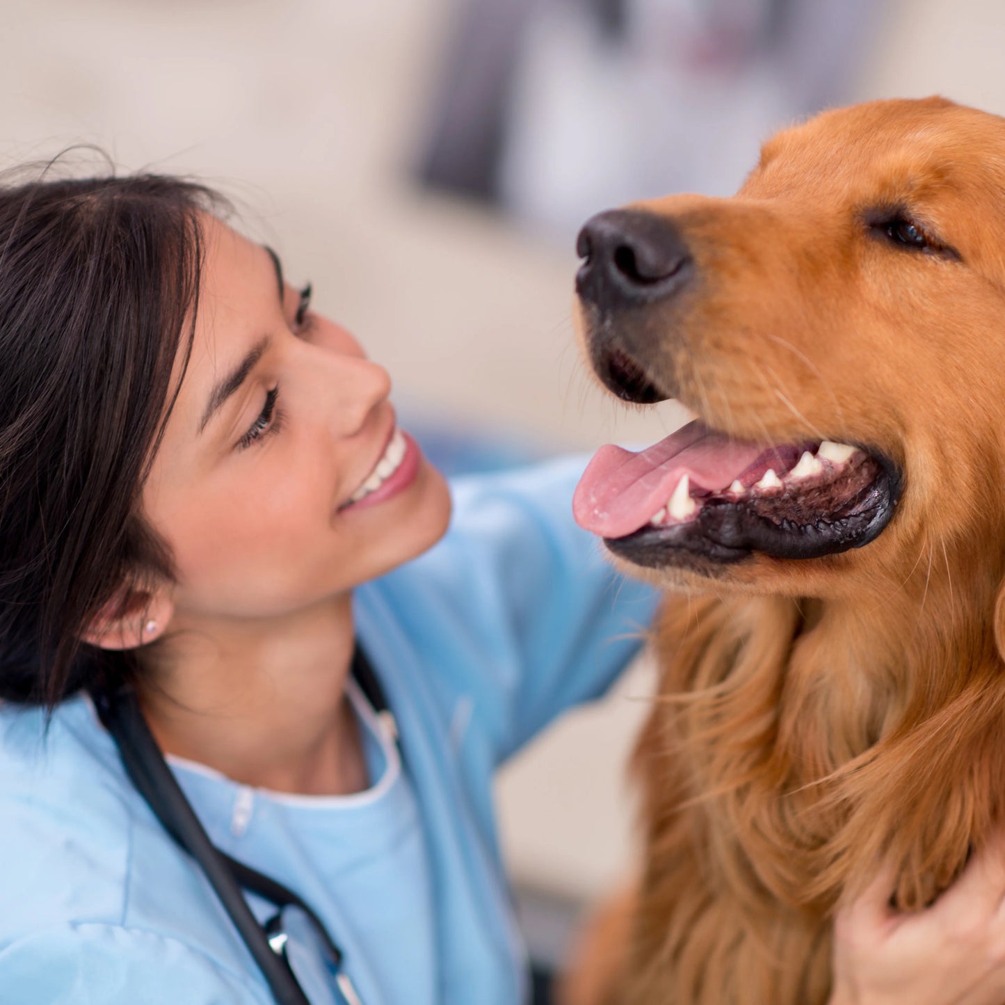 Consulta Veterinaria General