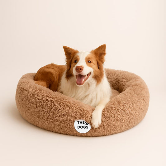 Cama Acolchada Pet